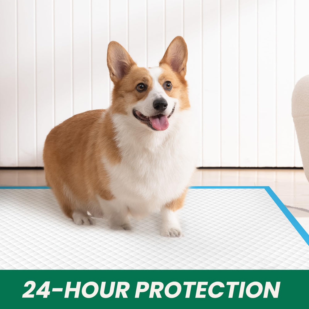 IMMCUTE odor-control design helps keep rooms fresh after accidents.