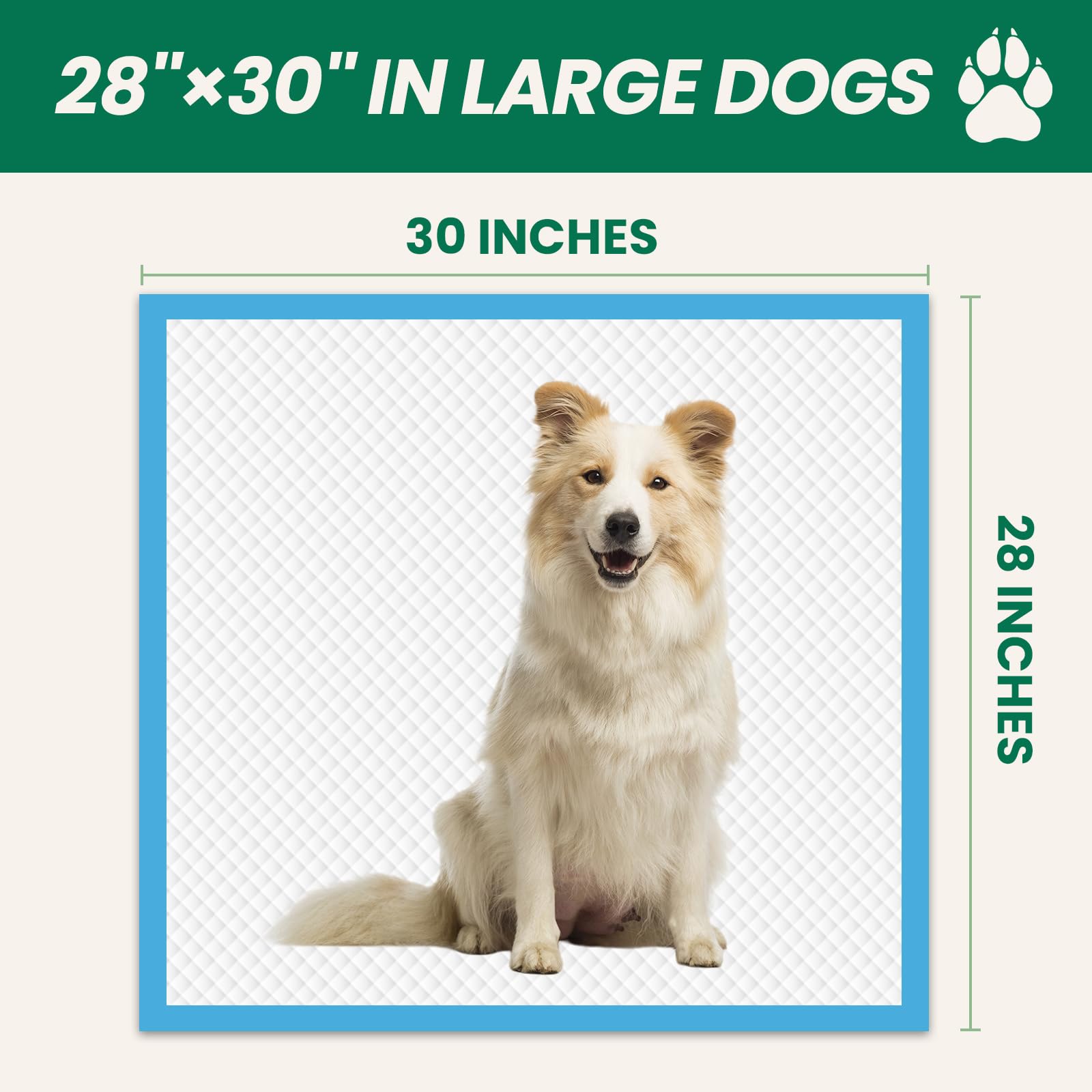 IMMCUTE gentle surface designed for puppies and cats during housebreaking.