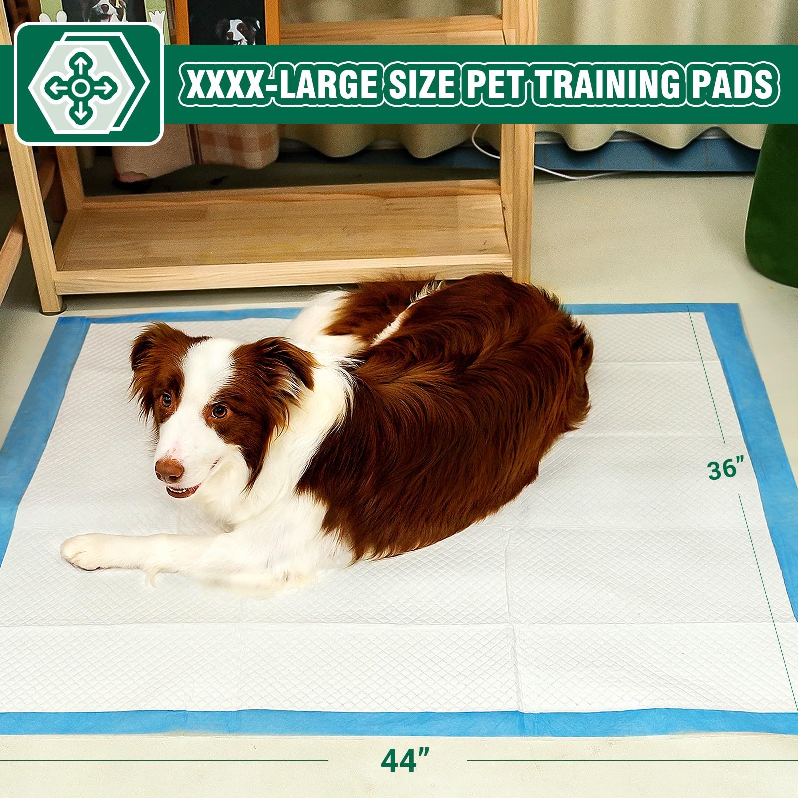 IMMCUTE puppy pad shows super-absorbent performance and leak-proof design for puppies.