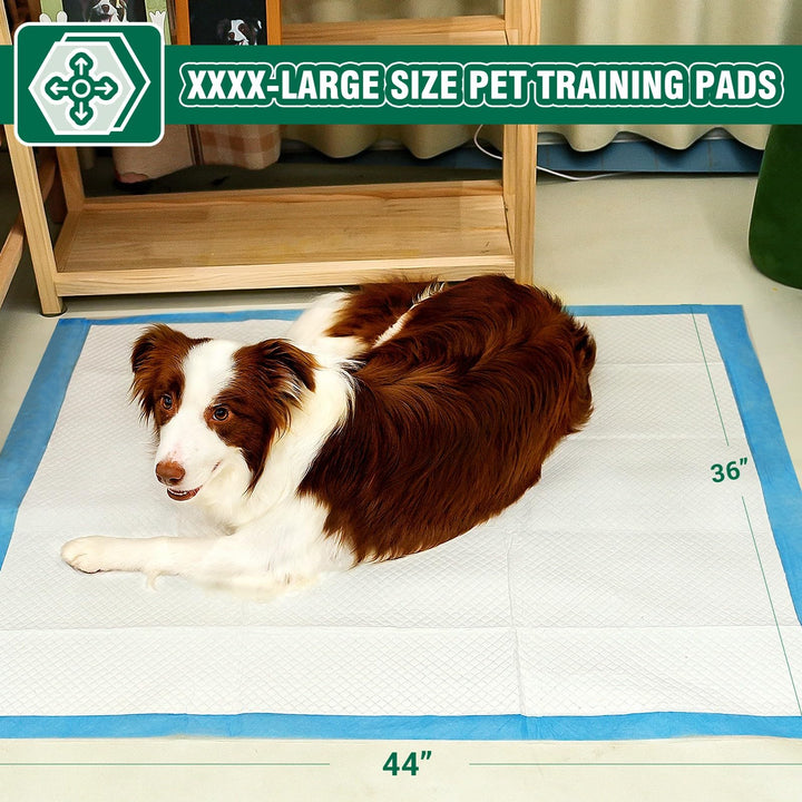IMMCUTE puppy pad shows super-absorbent performance and leak-proof design for puppies.