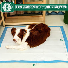 IMMCUTE puppy pad shows super-absorbent performance and leak-proof design for puppies.