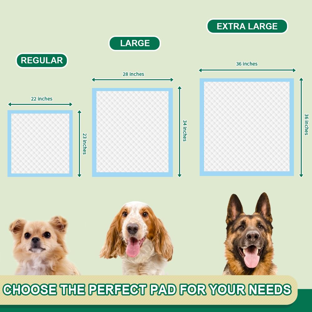 IMMCUTE 100-count pack supports multi-pet households and travel