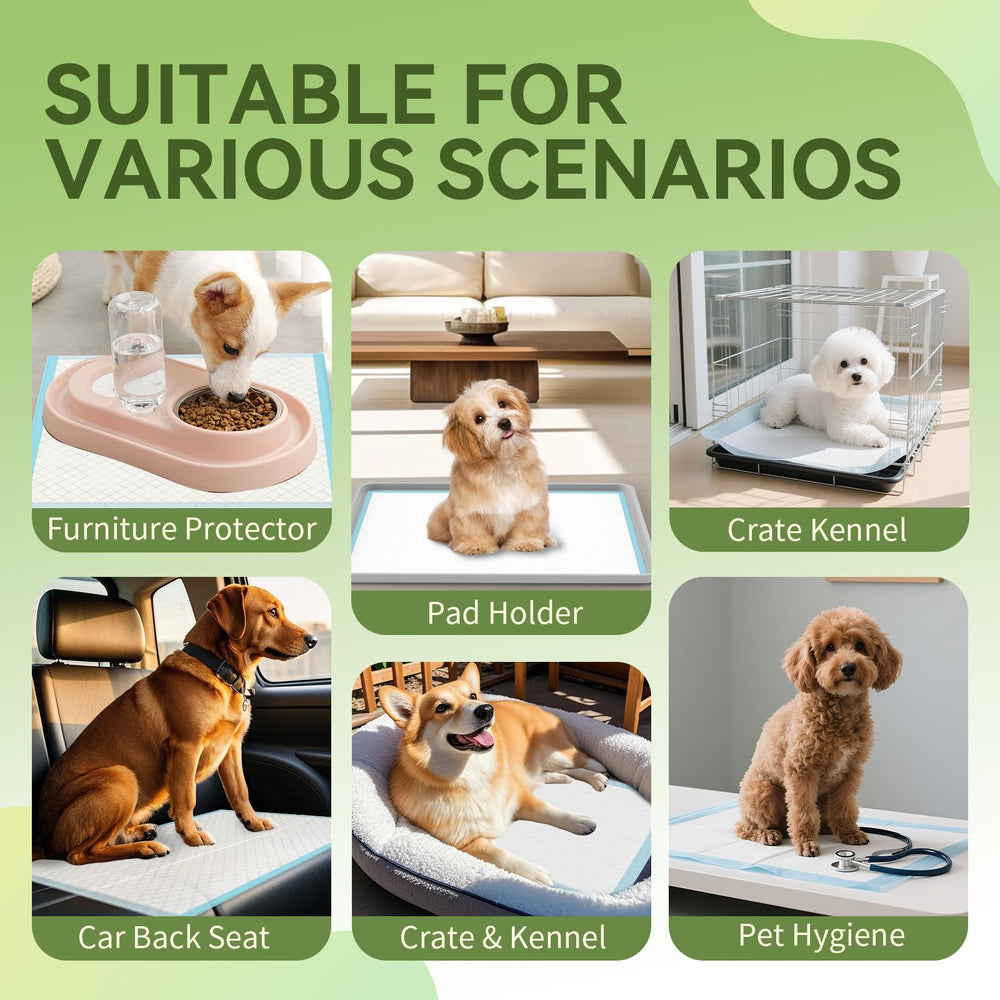 IMMCUTE multi-pet pads suit puppies, seniors, and small pets