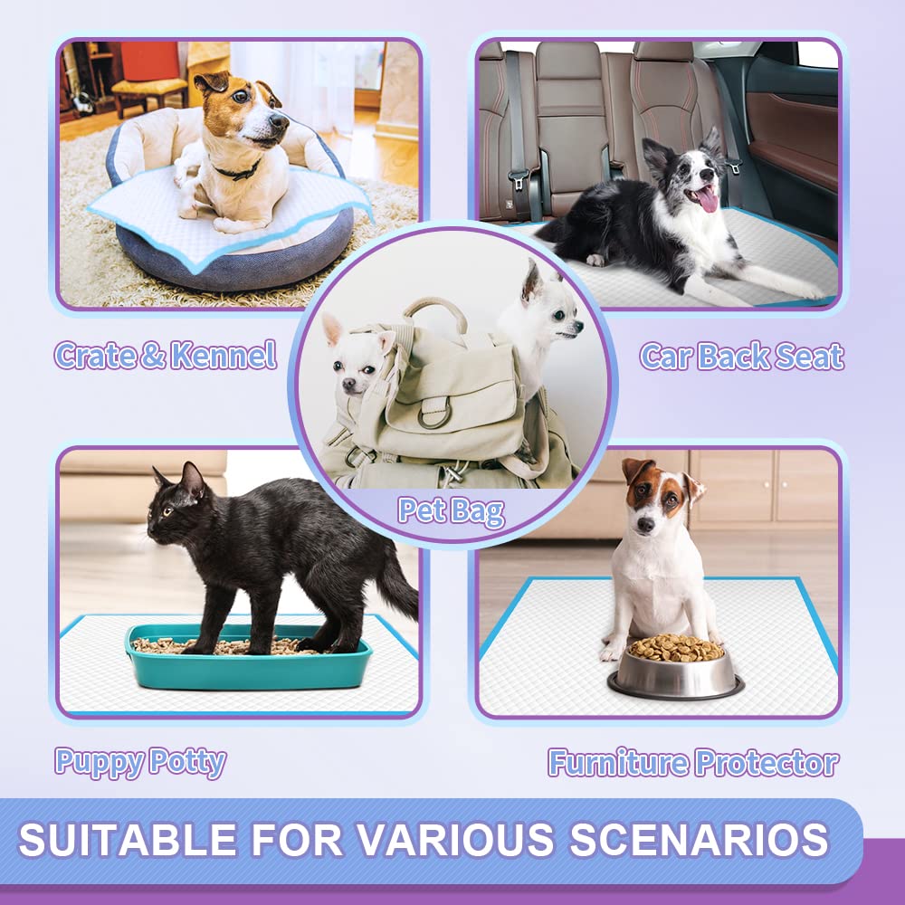 IMMCUTE pads arranged for a multipet home setup.