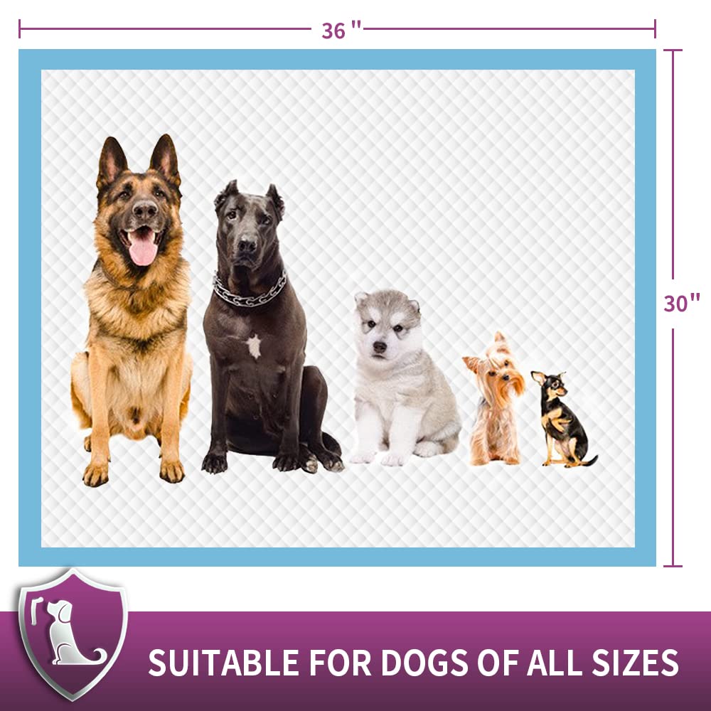IMMCUTE travel-friendly pad supports potty needs on trips and outdoors.