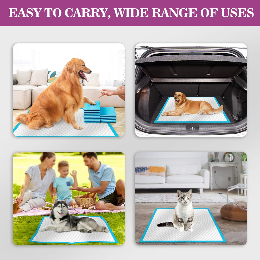 IMMCUTE XL pad used during travel or outdoor lawn time