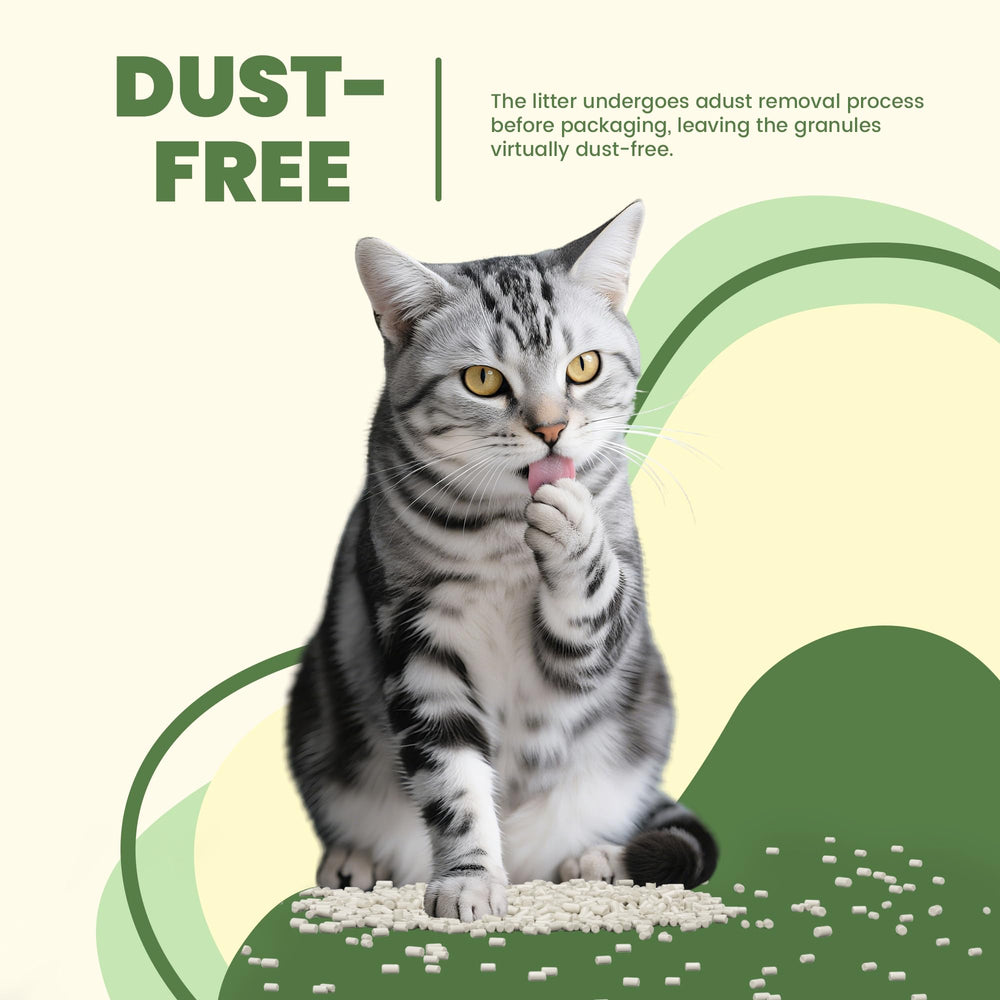 IMMHABI dual layer compatible litter box system supports seamless integration.