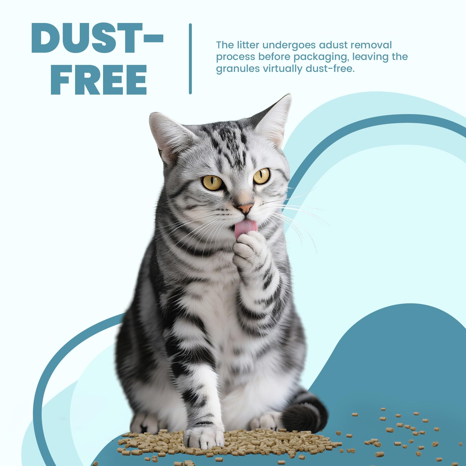 IMMHABI dual-layer litter box compatibility diagram for easy refills