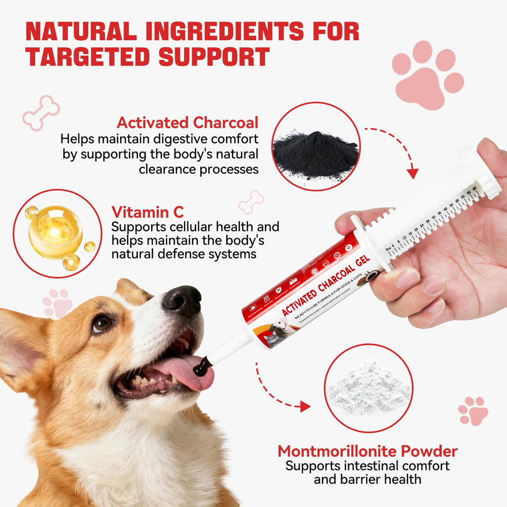 Immune Chews ingredients coconut-shell charcoal montmorillonite vitamin C for gentle GI support.