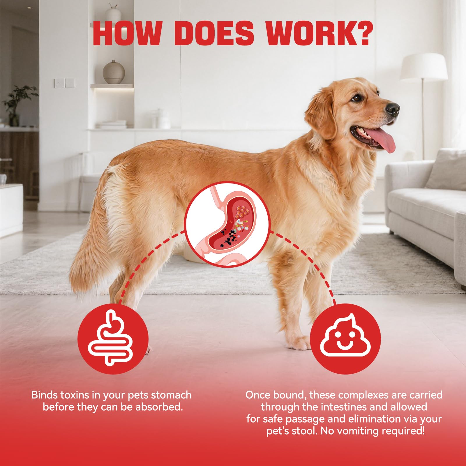 Immune Chews toxin absorption in the gut illustration for pets.