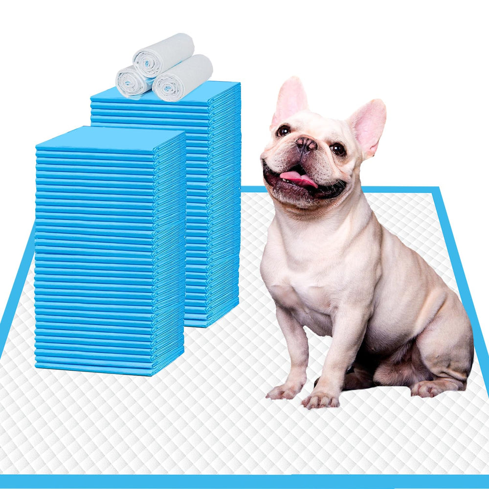 IMMCUTE 80-count pack offers great value for busy households.