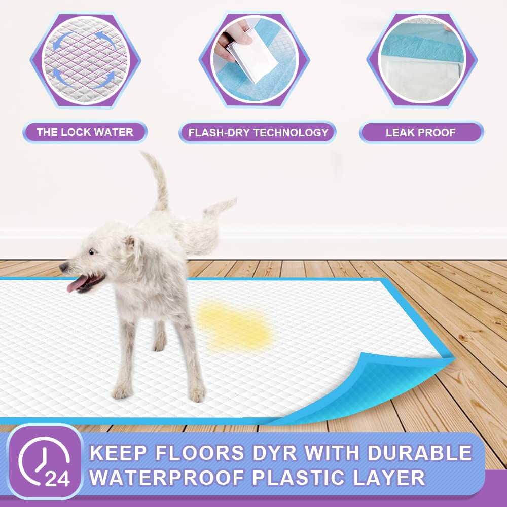 IMMCUTE all-day protection pads suit puppies, seniors, and multi-pet homes.