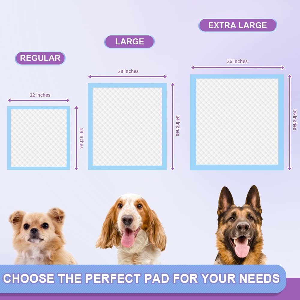 IMMCUTE pads suitable for dogs, kittens, rabbits, and other small pets.