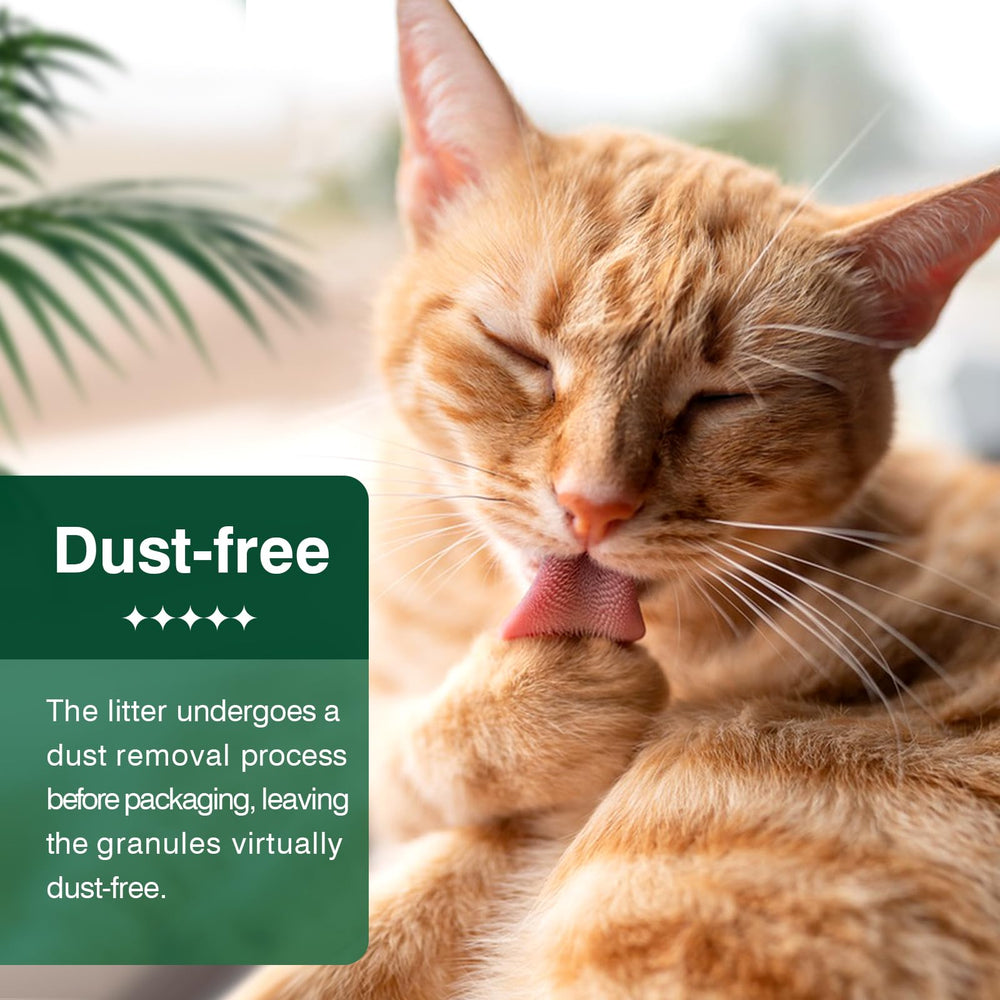 IMMCUTE spherical pellets minimize tracking and ease cleanup.
