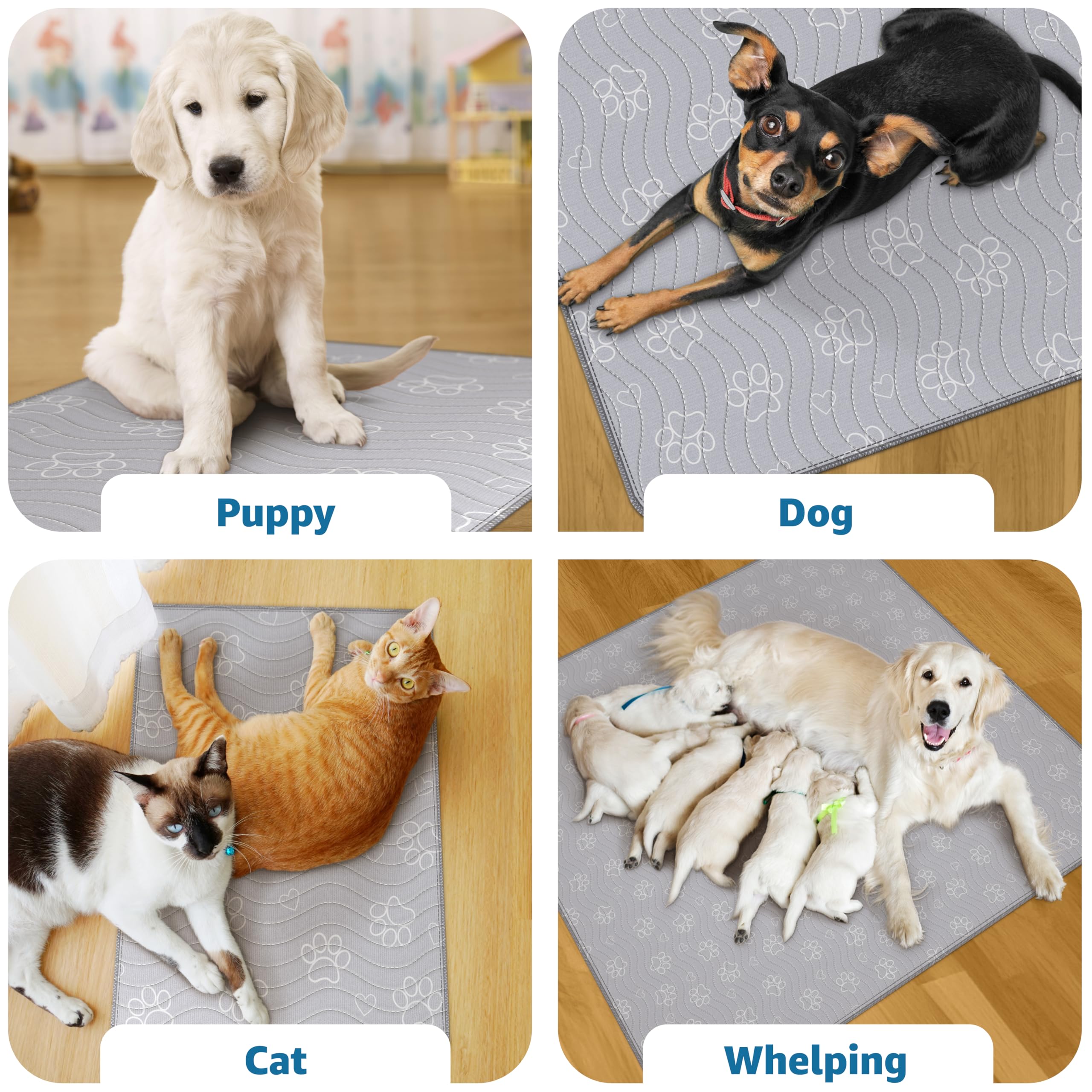 IMPROVIA non-slip dog mat stays flat under energetic dogs.