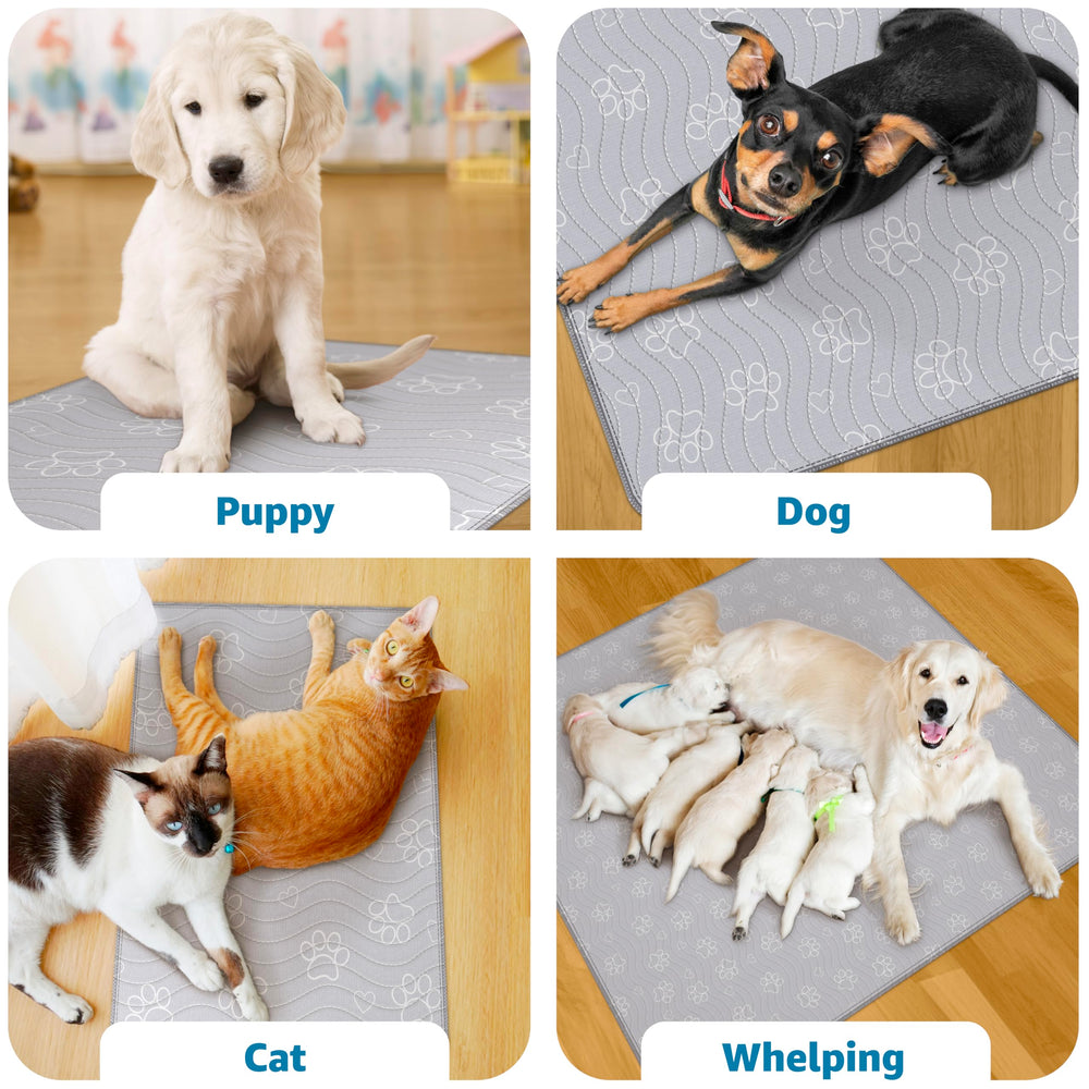 IMPROVIA non-slip dog mat stays flat under energetic dogs.