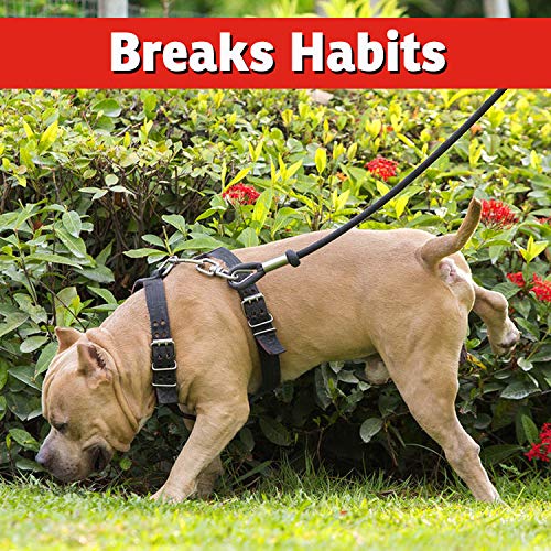 IMUSTGARDEN apply-properly-guide helps maximize results safely.
