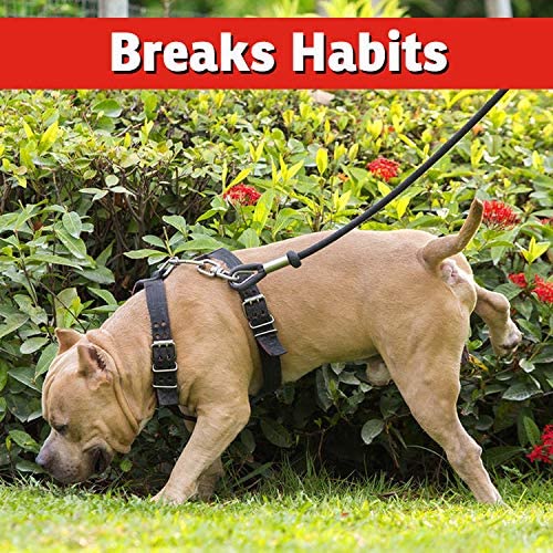 IMUSTGARDEN repellent keeping pets away from treated areas in yard