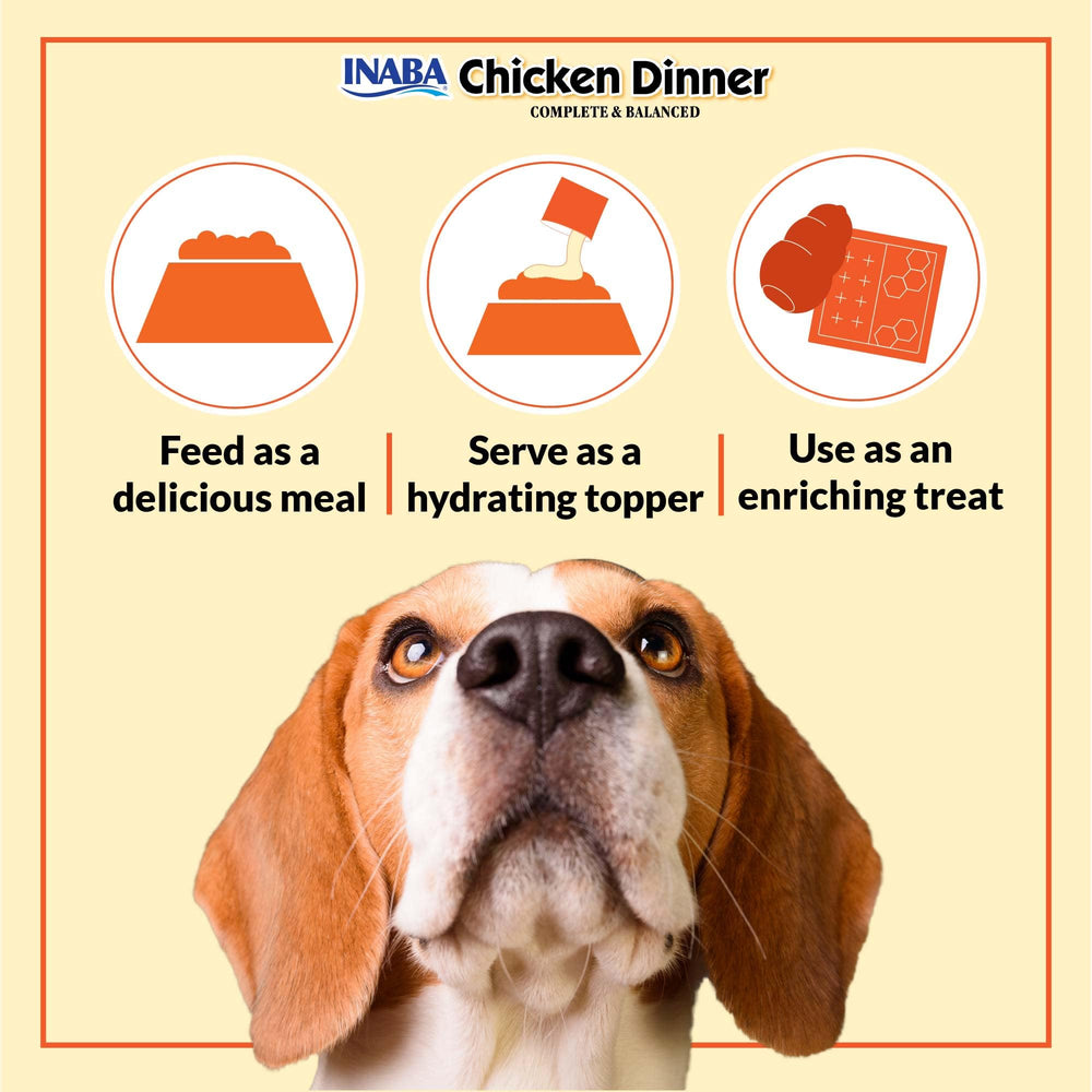 INABA Chicken Dinner serving bowl ready for dogs