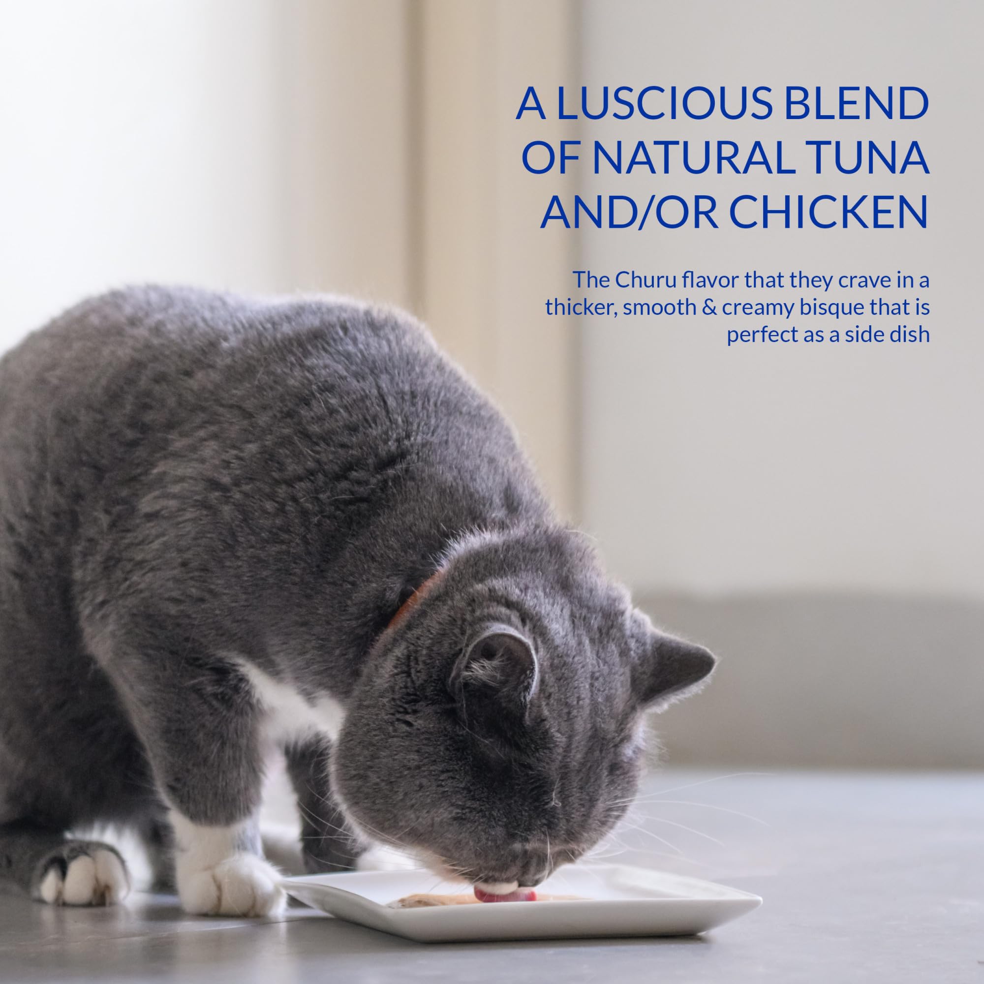INABA Churu Bisque portion pack shows convenient daily side-dish
