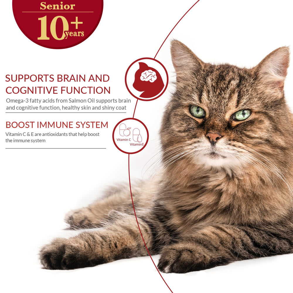 INABA Churu Broth Senior 10+ omega-3 enriched topper for senior cats
