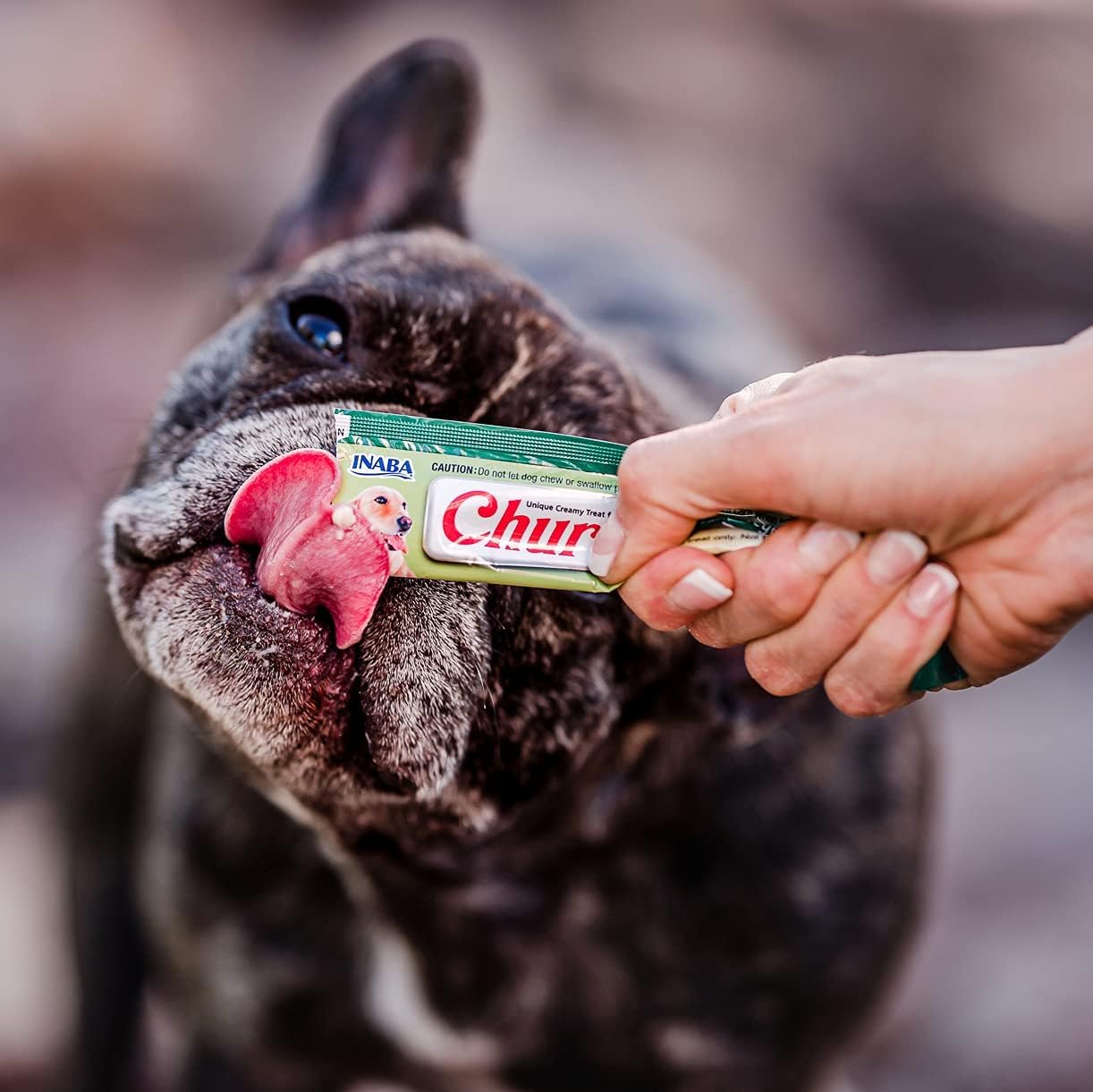 INABA Churu flavors variety pack for canine meals