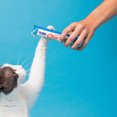 INABA Churu hand-fed cat treat encouraging bonding during snack time.