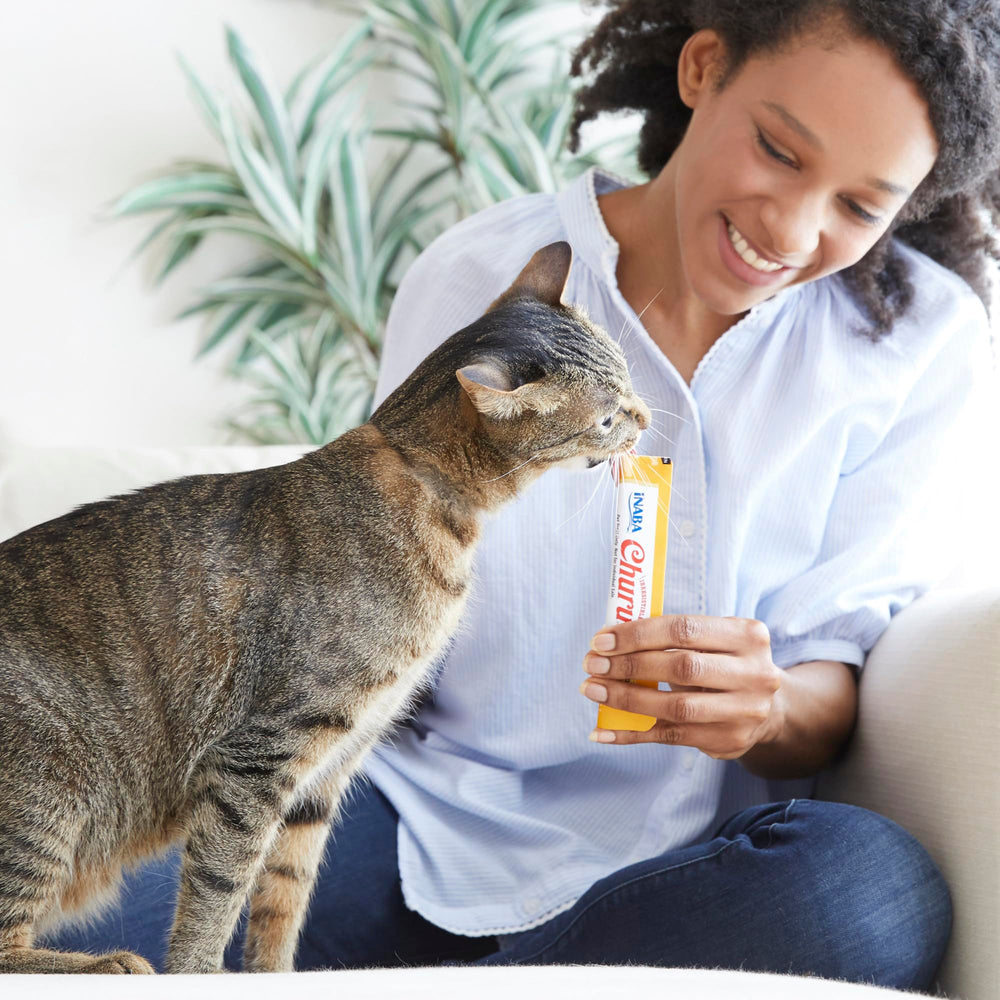 INABA Churu ingredient panel highlights Taurine and Green Tea Extract