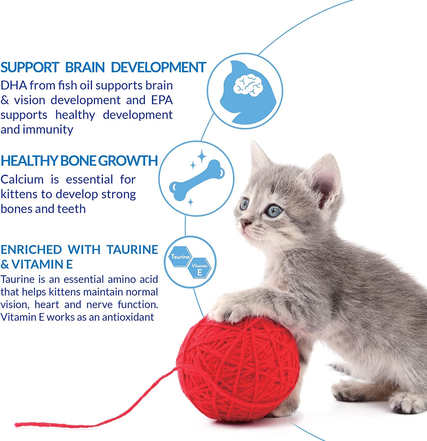 INABA Churu weaning tube demonstrates a gentle transition to solid foods