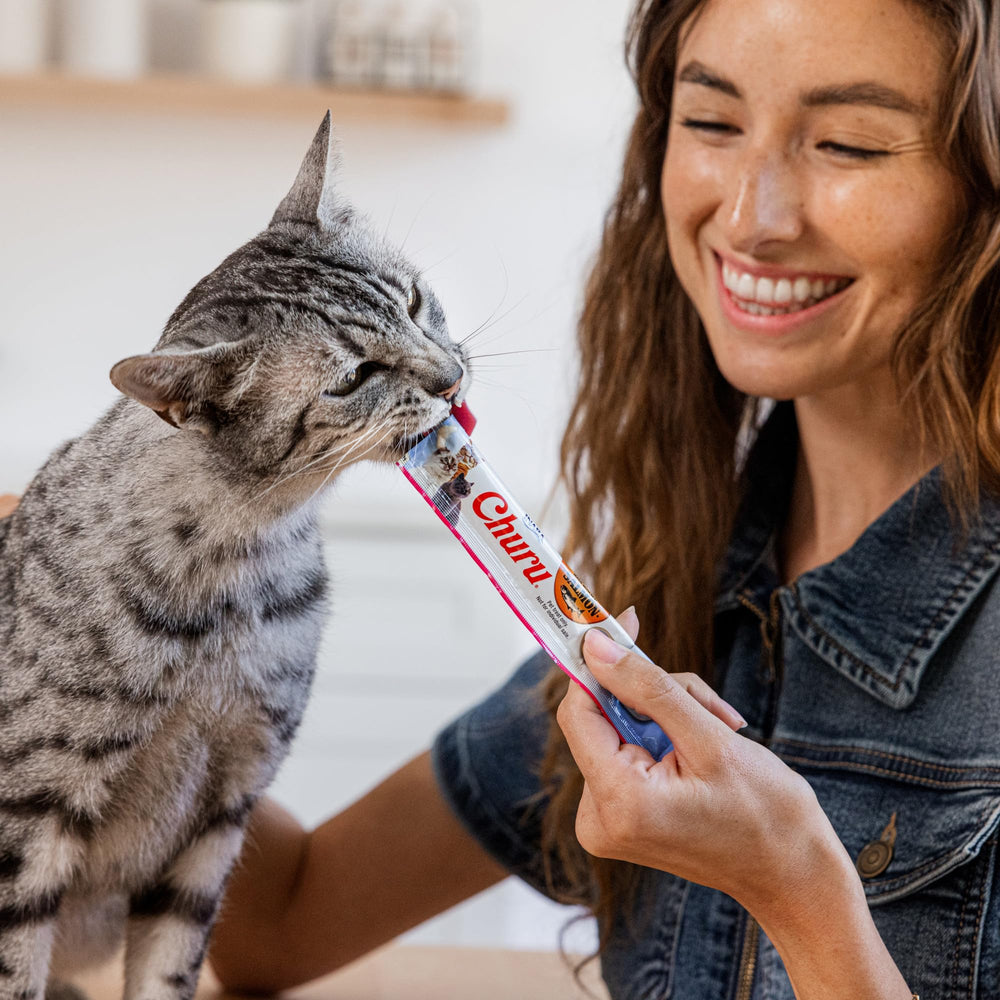 INABA Churu used to disguise medication for cats.