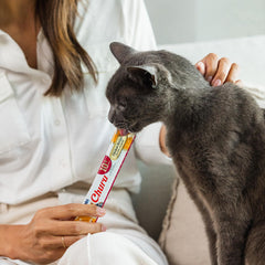 INABA Churu Senior Chicken Recipe tube; versatile mealtime option.