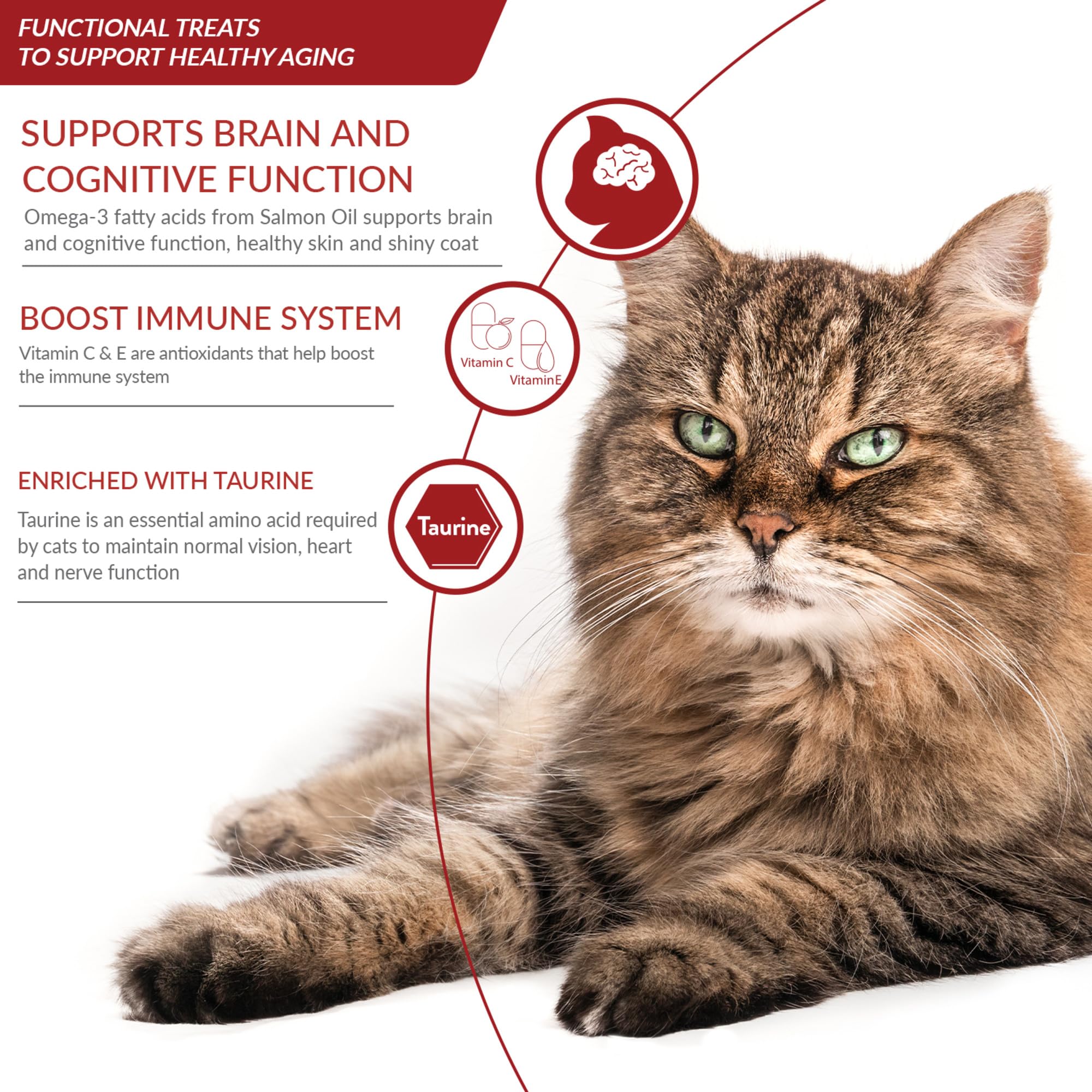 INABA Churu Senior hand-feeding tube; interactive bonding treat.
