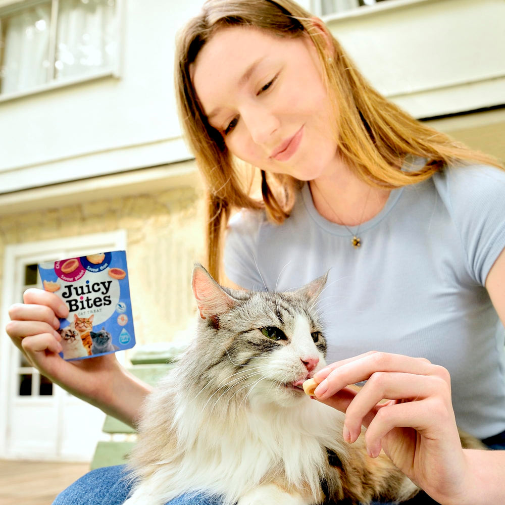 INABA Juicy Bites hand-feeding scene for interactive bonding and training.