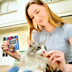 INABA Juicy Bites hand-feeding scene for interactive bonding and training.