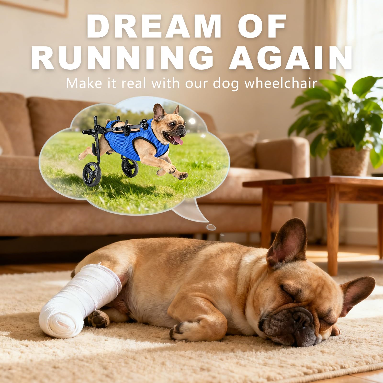Inanil dog wheelchair back legs adjustable width shows versatile sizing for different breeds.