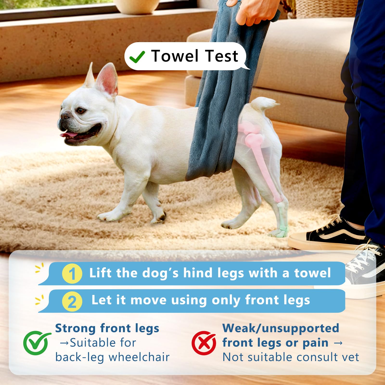 Inanil dog wheelchair indoor-outdoor-use supports rehab and gentle exercise anywhere.