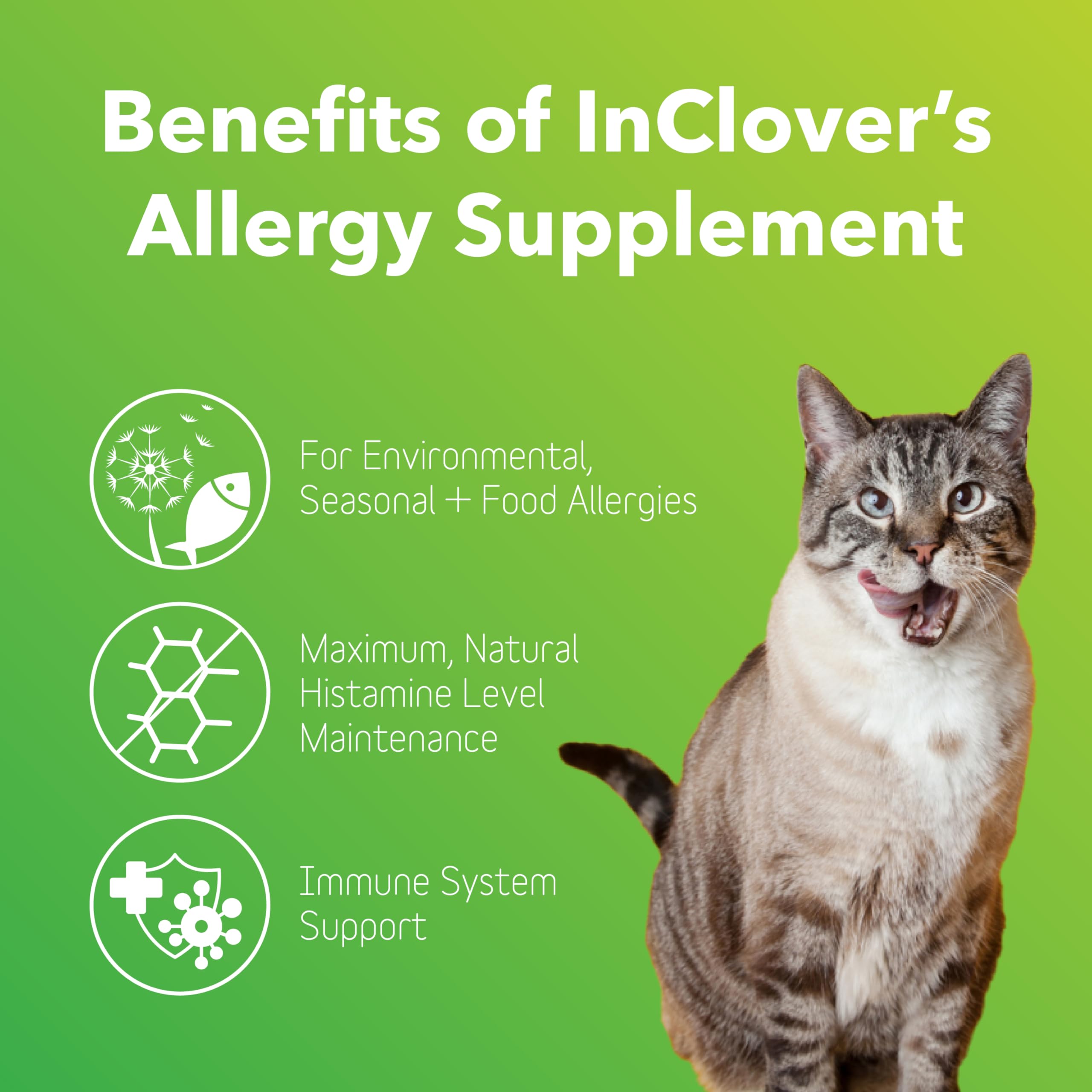 InClover Allergy Relief powder tin close-up ready to sprinkle into meals.