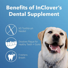 InClover BioBrilliant powder sprinkled on pet food for gentle tartar control