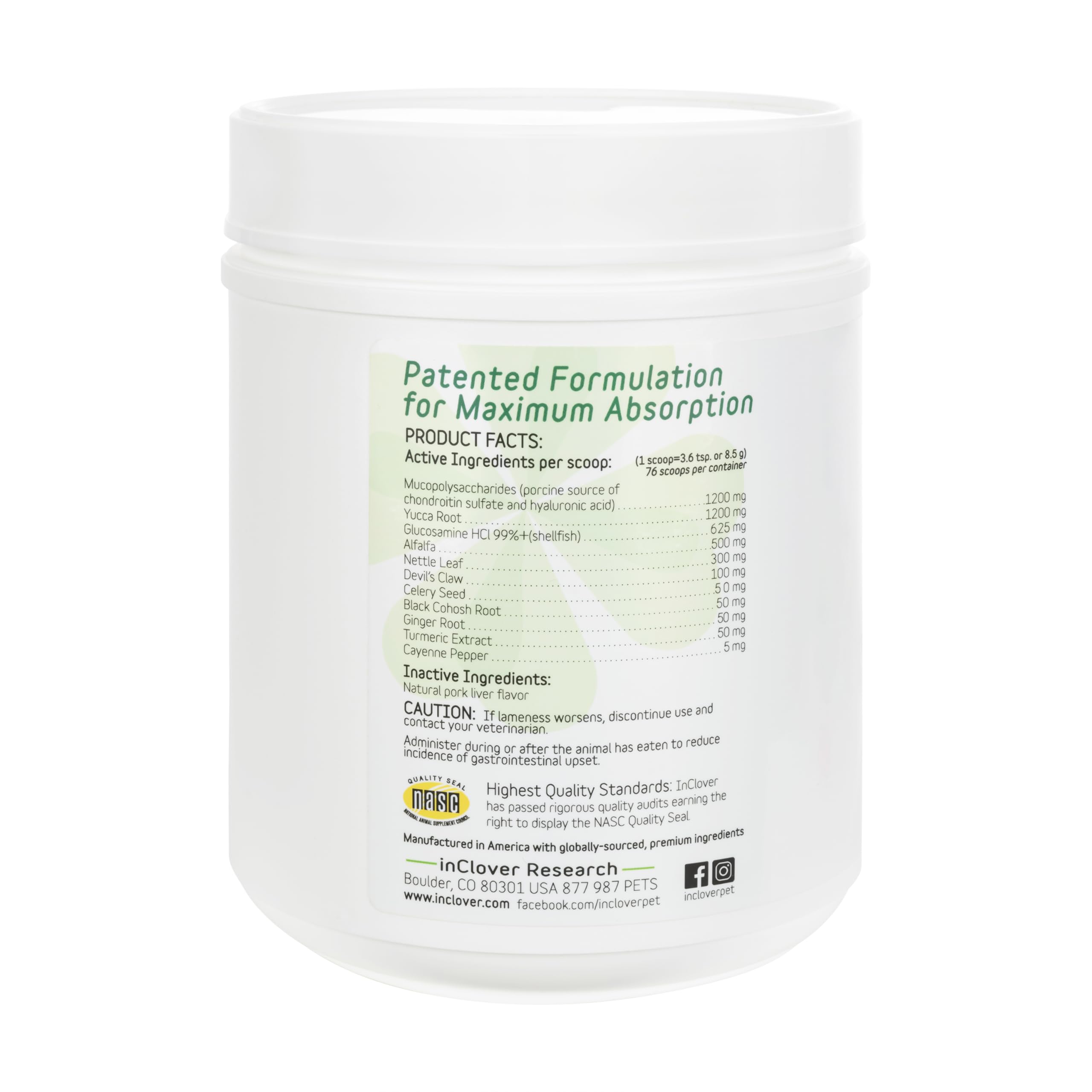 In Clover Connectin supports an active dog at play.