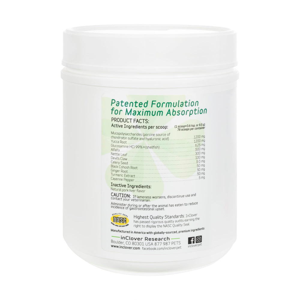 In Clover Connectin supports an active dog at play.