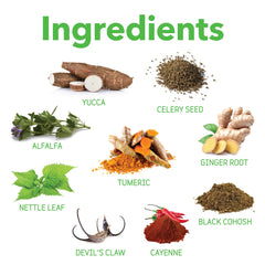 InClover Connectin ingredients highlight glucosamine, chondroitin, and hyaluronic acid