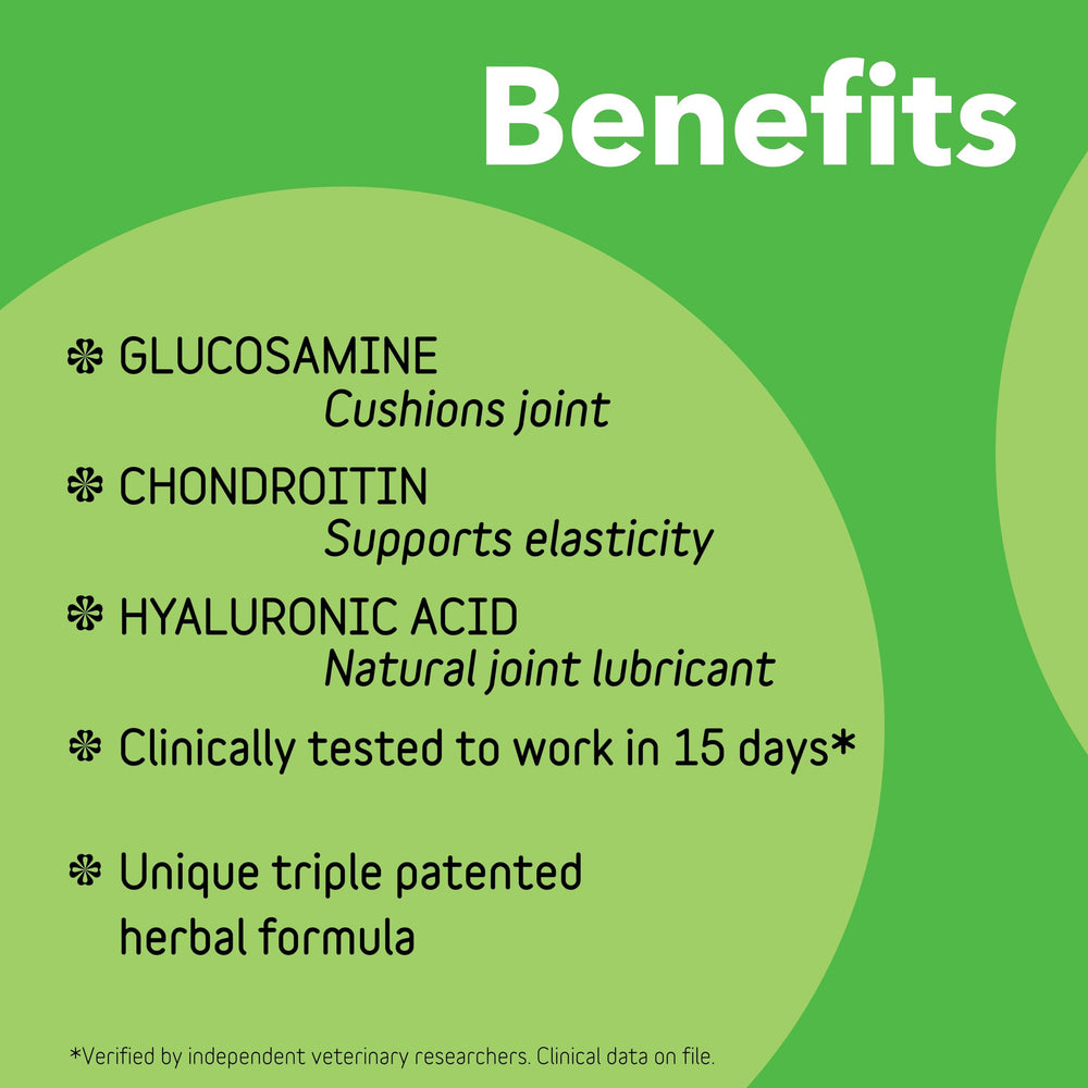 InClover Connectin scoop showing easy daily dosing for active dogs