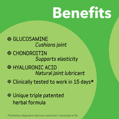 InClover Connectin scoop showing easy daily dosing for active dogs