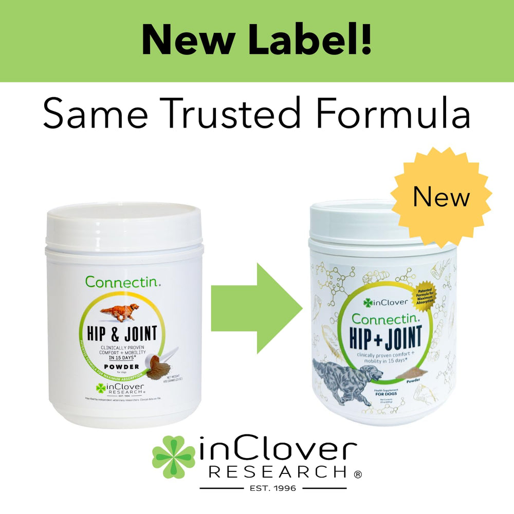 InClover Connectin powder being poured into a dog bowl for daily dosing