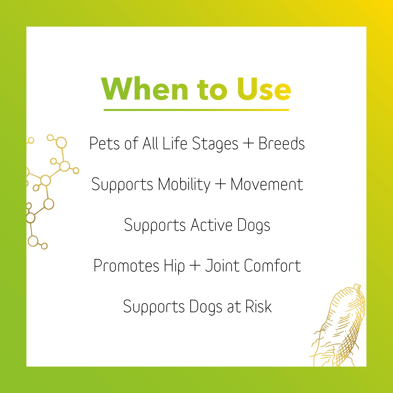 In Clover Connectin helping an older dog climb stairs with smoother movement.