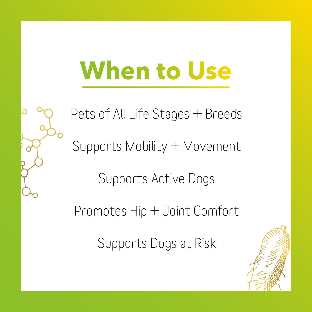In Clover Connectin helping an older dog climb stairs with smoother movement.