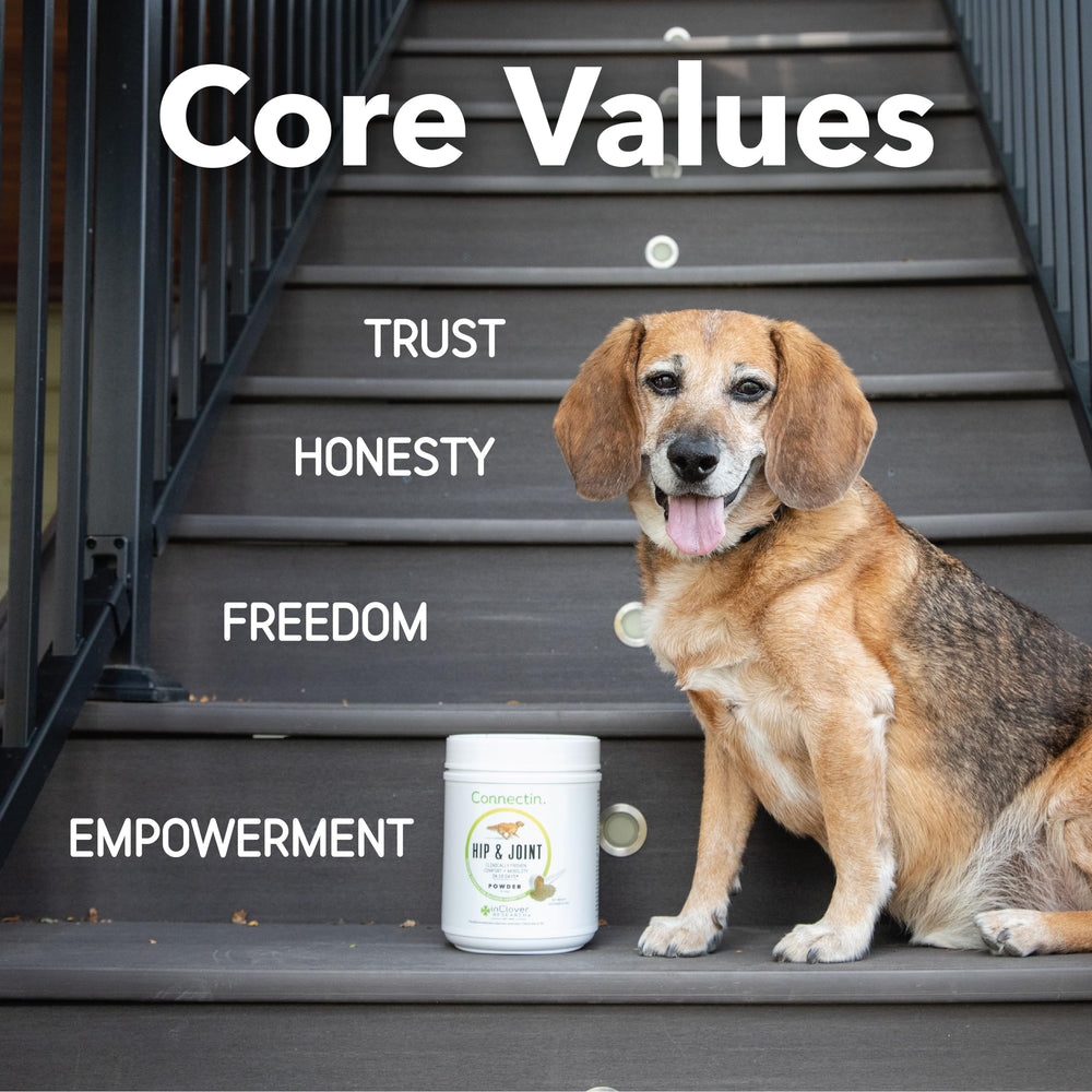InClover Connectin tub design conveys trust and clinical heritage