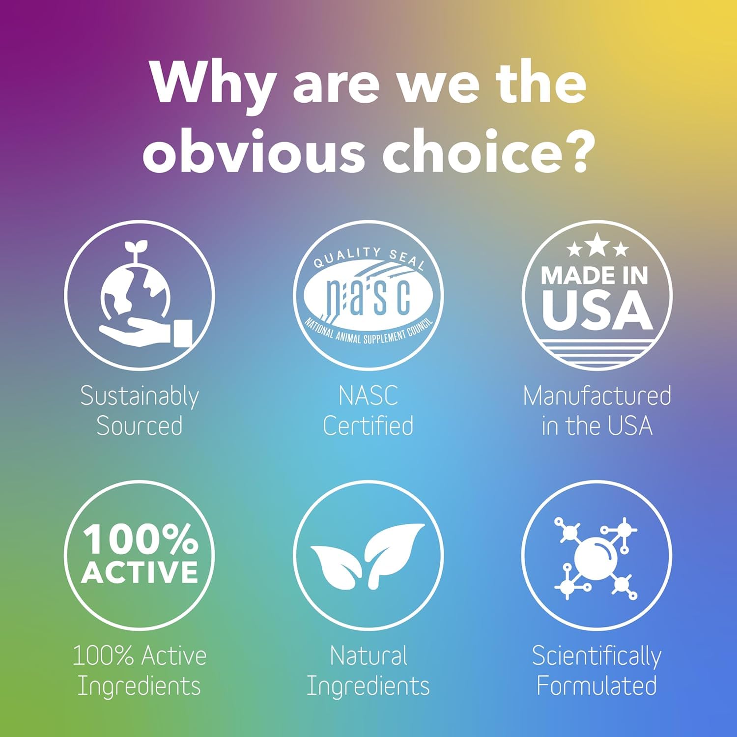 In Clover Daily Multi postbiotic fermentation image illustrating gut-friendly nutrients