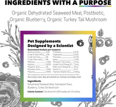 In Clover Daily Multi turkey tail mushrooms image emphasizing beta glucans and immune support potential
