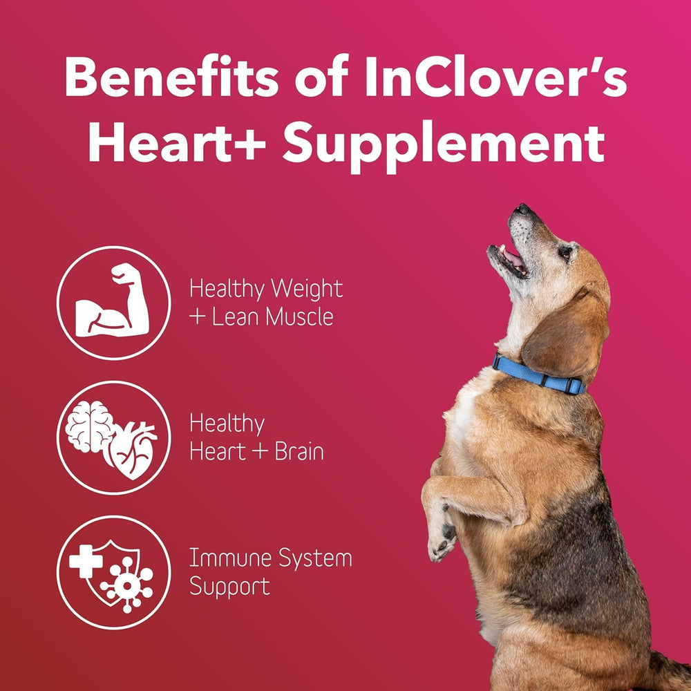In Clover Heart+ dosing scoop pouring illustrating easy daily administration